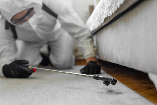Professional Termite Control technician working in Piedmont, AL