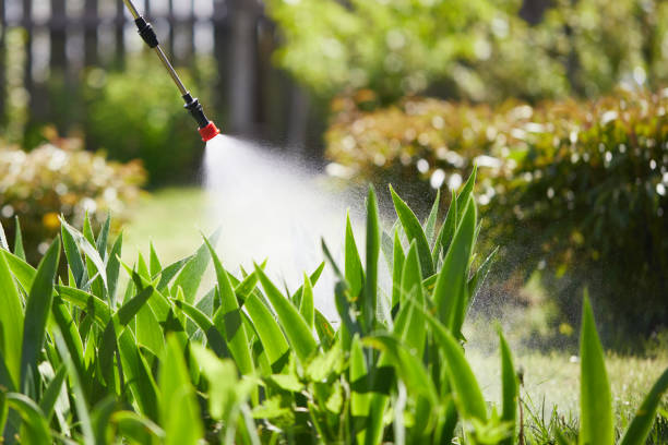 24/7 Emergency Termite Control experts in Piedmont, AL