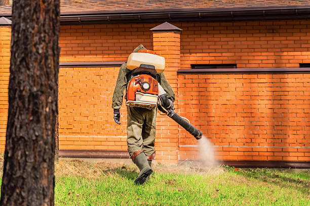Trusted Bed Bug Control service in Piedmont, AL - Nex Pest Control